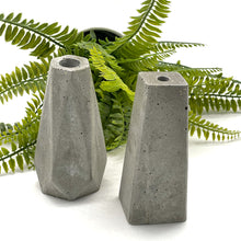 Load image into Gallery viewer, Set of 2 Vases
