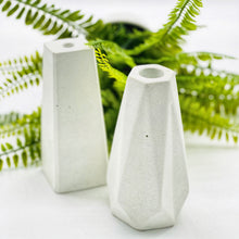 Load image into Gallery viewer, Set of 2 Vases